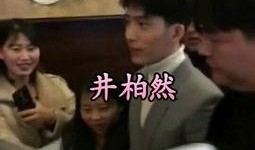 明星视频在线观看